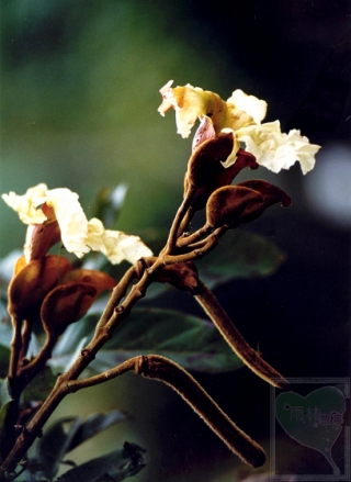 2010-01-51-01