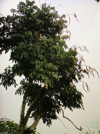 2010-01-52-01
