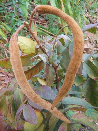 2010-01-52-02