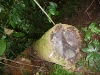 2010-01-12-02