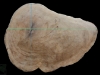 2010-01-12-03