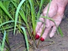 2010-01-16-02
