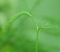 2010-01-20-01