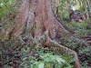 2010-01-27-01