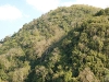 2010-01-29-01