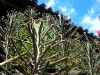 2010-01-34-01