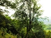 2010-01-38-02