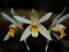 2010-01-46-01