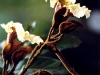 2010-01-51-01