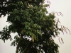 2010-01-52-01