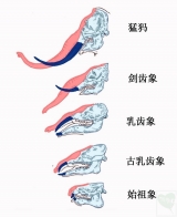 2010-02-02-01