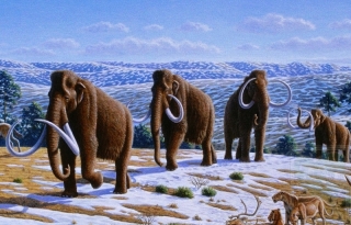 2010-02-07-01