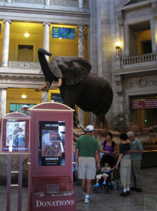 2010-02-09-01