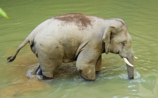 2010-02-12-02