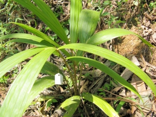 2010-02-39-01