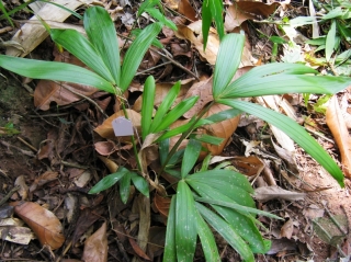 2010-02-39-03