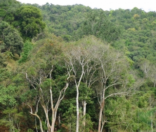 2010-02-40-01
