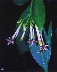 2010-02-49-01
