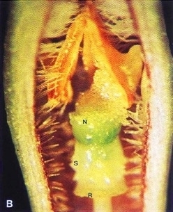 2010-02-49-02
