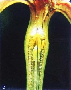 2010-02-49-04