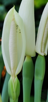 2010-02-52-01