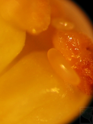 2010-02-53-01