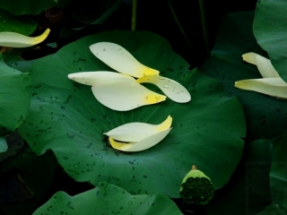 2010-02-57-01