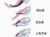 2010-02-02-01