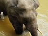 2010-02-13-02