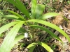 2010-02-39-01