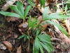 2010-02-39-03