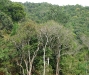 2010-02-40-01