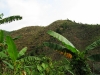 2010-02-40-02