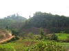 2010-02-41-01