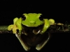 2010-02-46-01