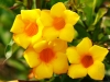 2010-02-47-01