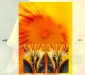 2010-02-48-01