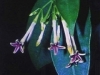 2010-02-49-01