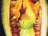 2010-02-49-02