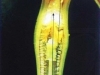 2010-02-49-04
