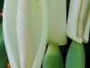 2010-02-52-01