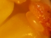 2010-02-53-01