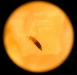 2010-02-54-01