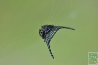 2012-10-15-2