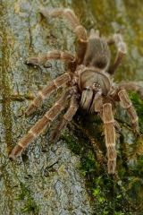 2012-10-19-1