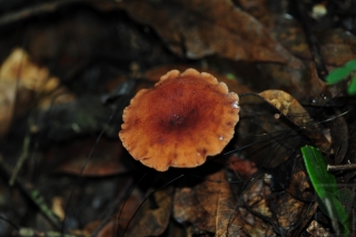 2012-10-48-1