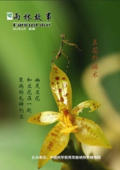 no-8