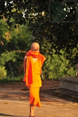 neo_img_2013-11-07-2