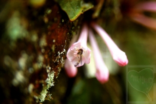 neo_img_2013-11-33-1