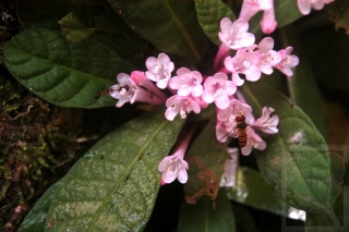 neo_img_2013-11-34-1